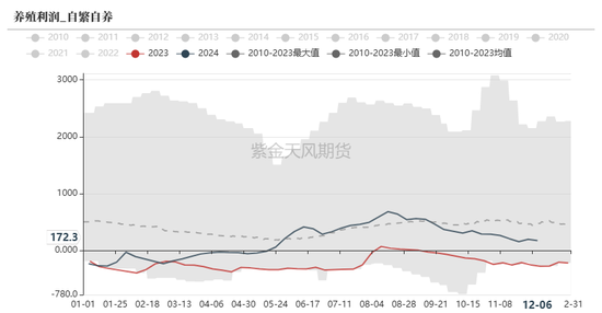 玉米：静待花开